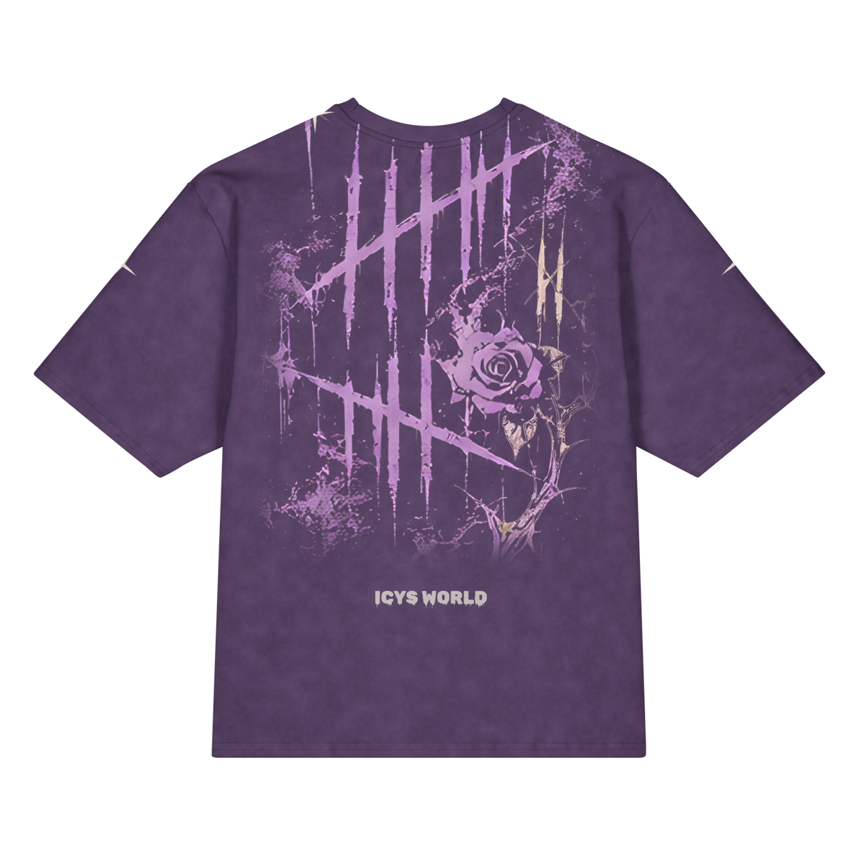 ICYS WORLD After Tour tee, back view