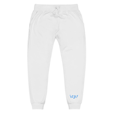 Load image into Gallery viewer, ICY $WEATS