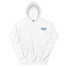 Load image into Gallery viewer, ICY HOODIE
