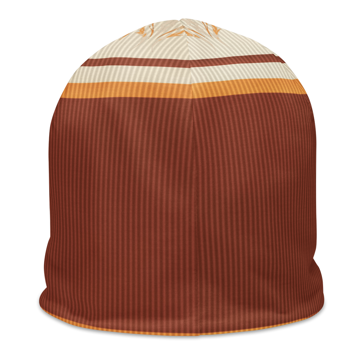 ICYS WORLD Two Tone beanie, back view