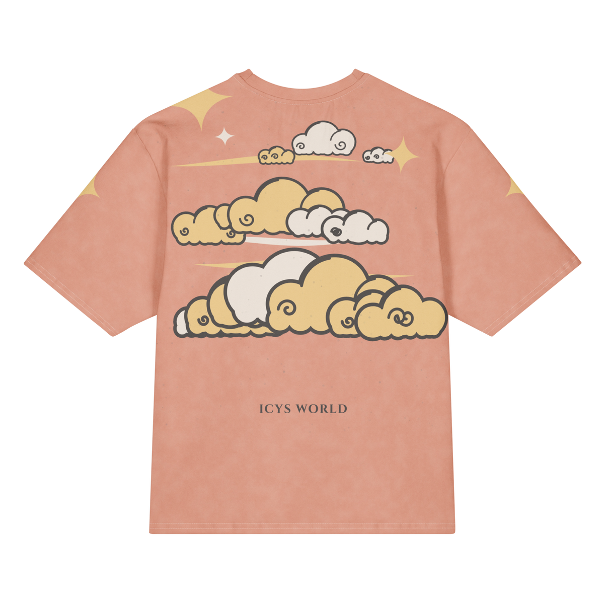ICYS WORLD Sky Loft tee, back view