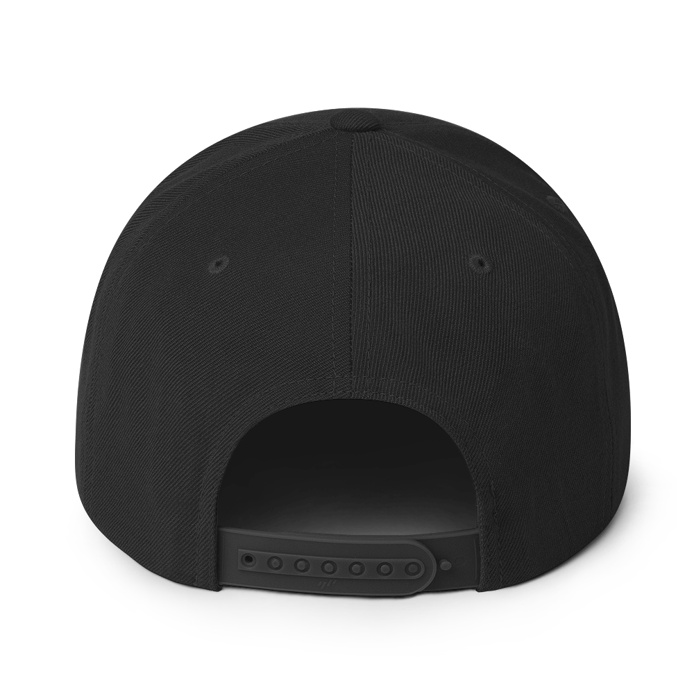 ICYS WORLD After Tour snapback, back view