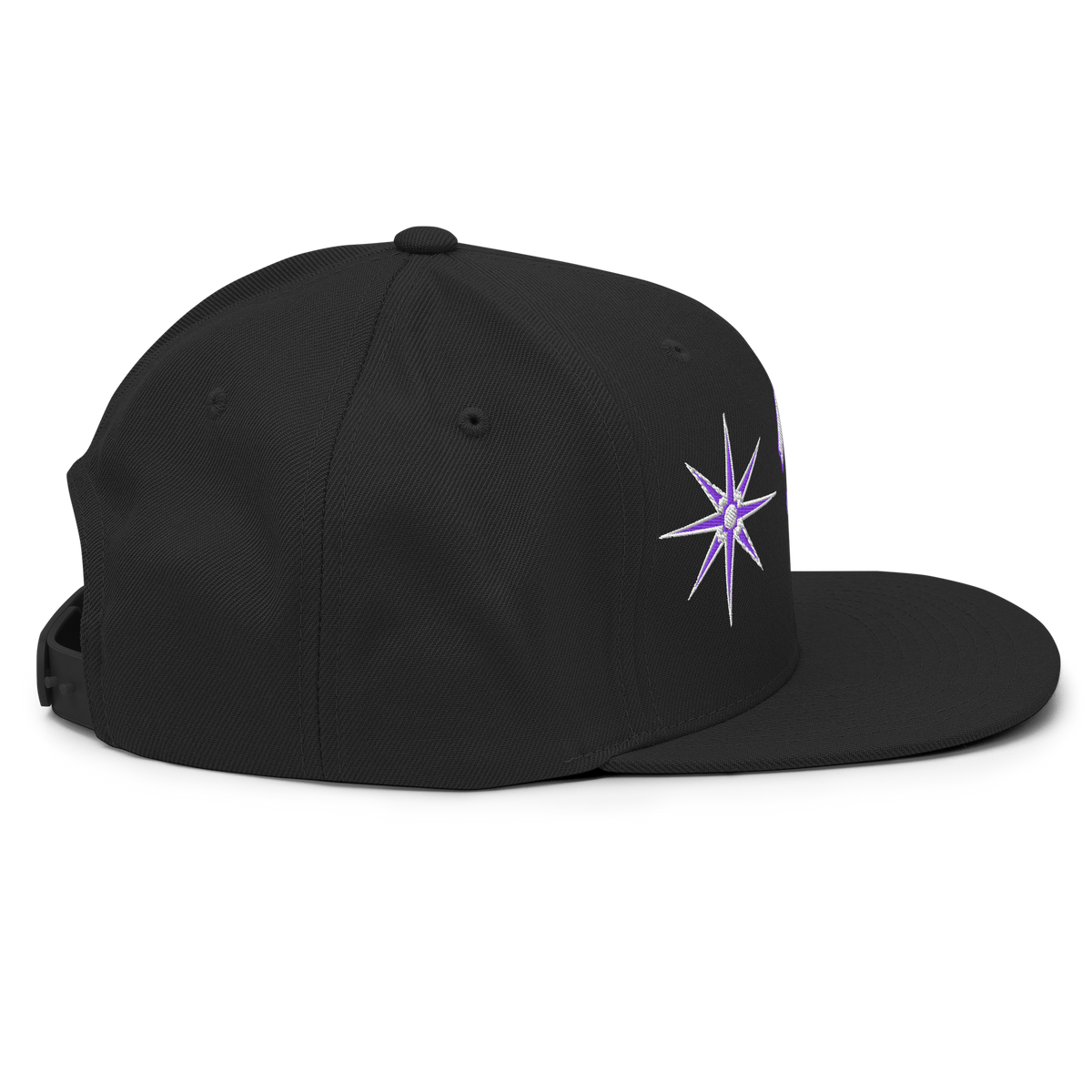 ICYS WORLD After Tour snapback, right side view