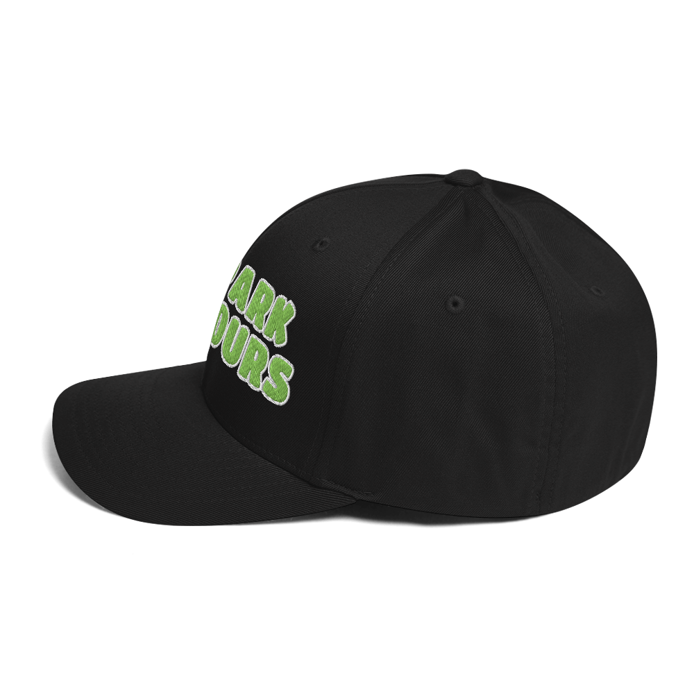 ICYS WORLD Park Hours cap, left side view
