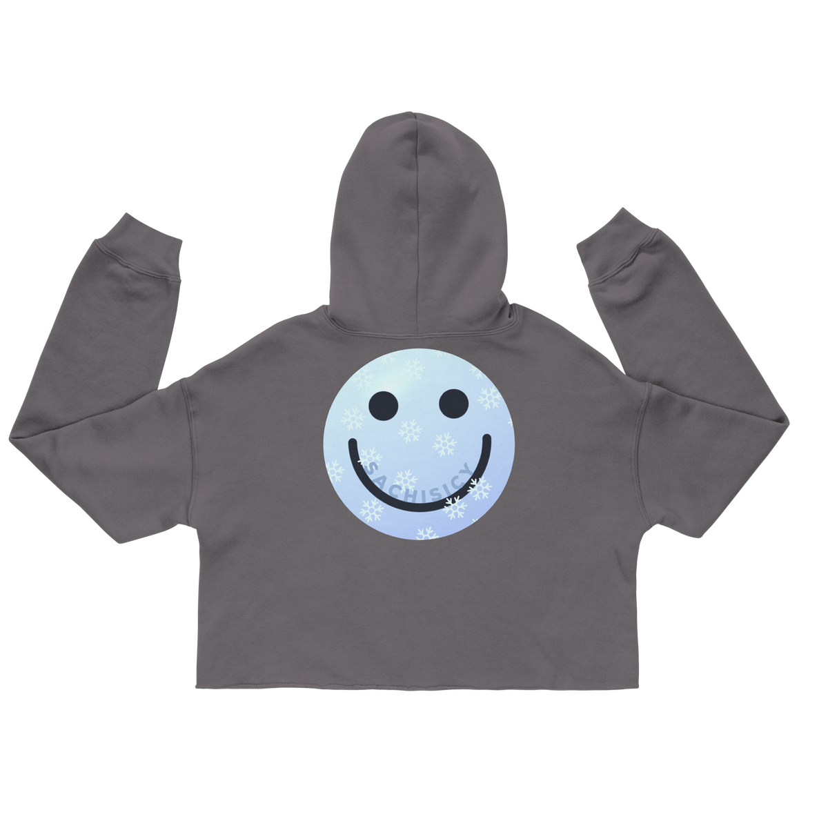 ICYS WORLD Crop Hoodie – iced-out streetwear graphic hoodie, storm, back view